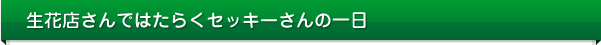 生花屋さんで働くK.Sさんの一日